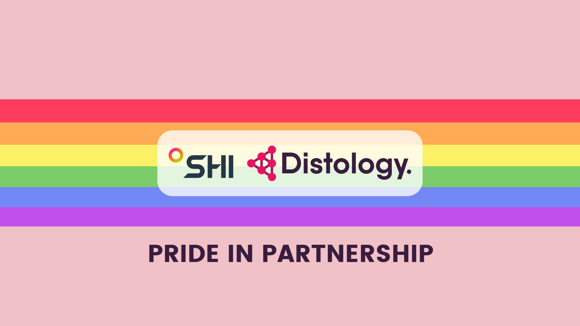 A photo showing Distology and SHI Pride partnership.