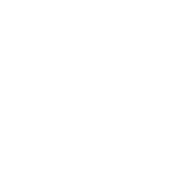 Celestix logo
